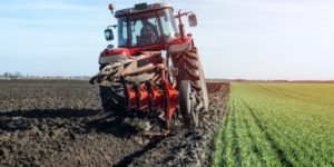 reduce-dust-from-cereals
